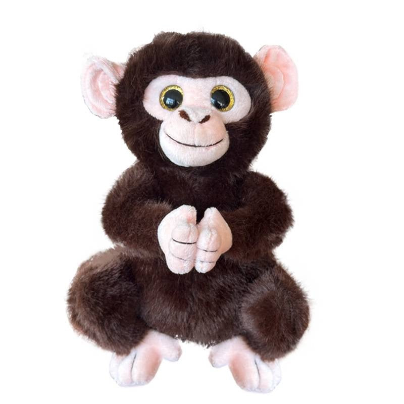 Momo Big-Eyed Monkey
