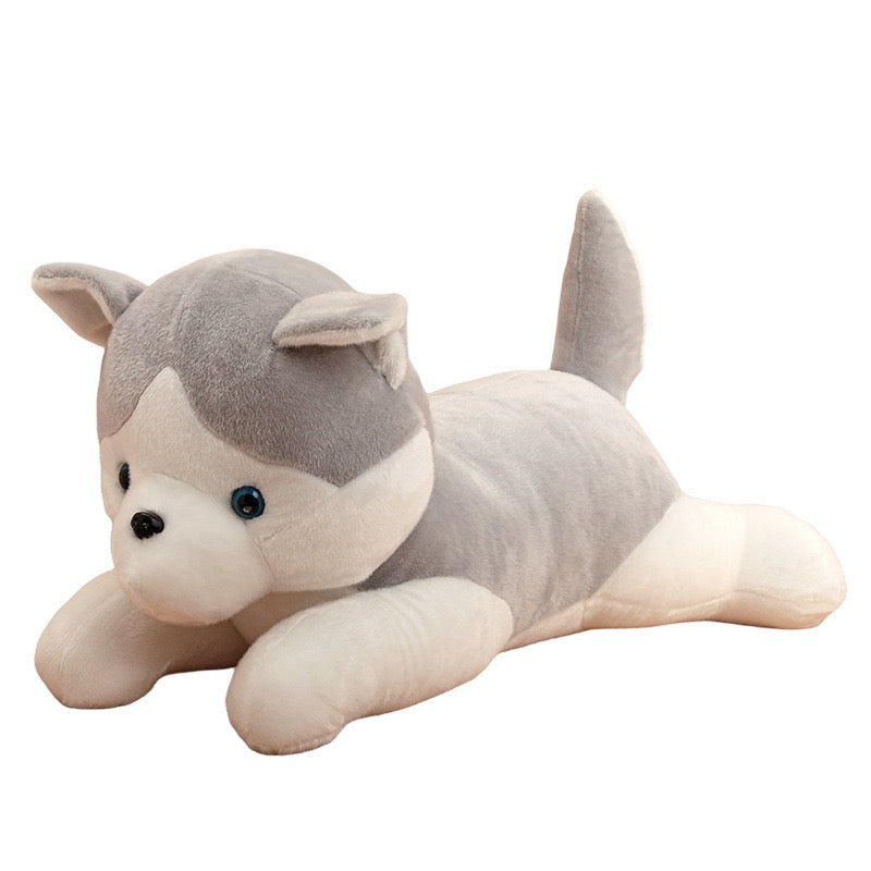 Husky Cuddle Buddy Plush