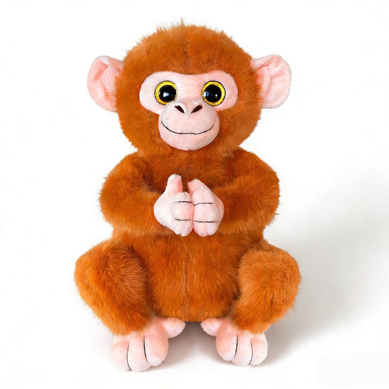 Momo Big-Eyed Monkey