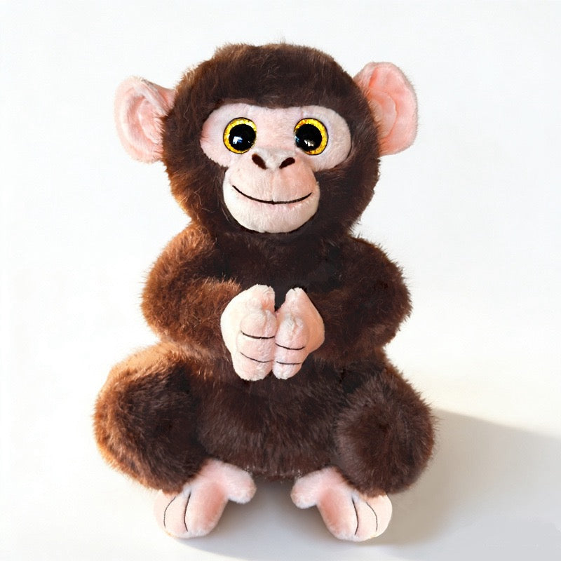 Momo Big-Eyed Monkey