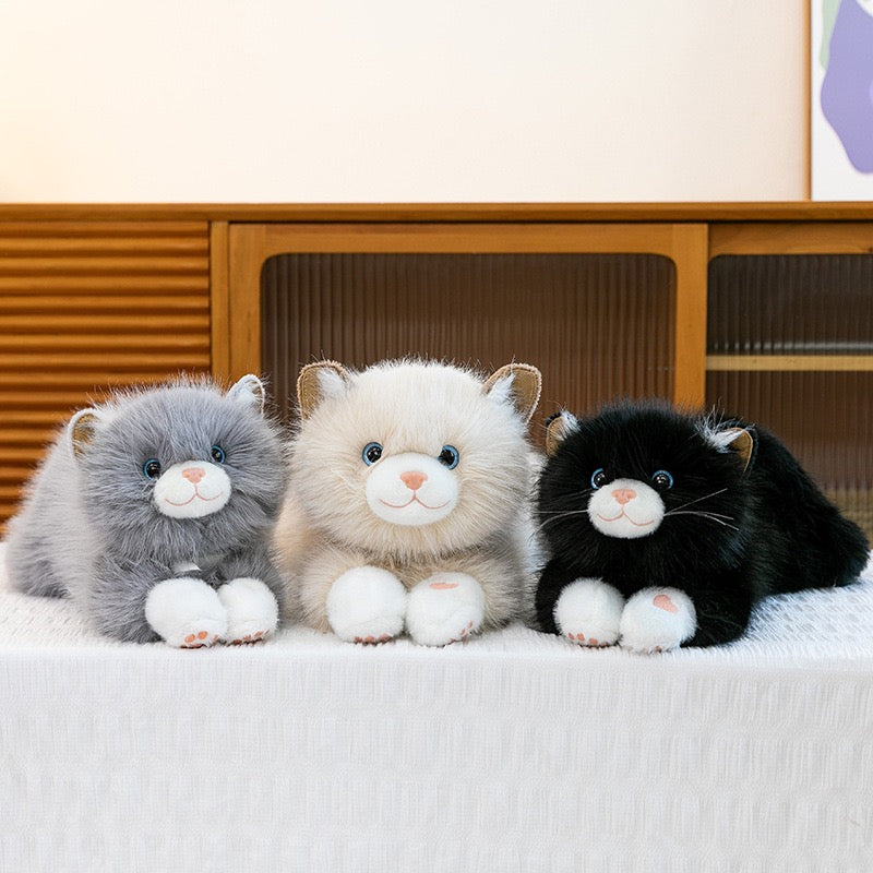 Ragdoll Cat Pillow