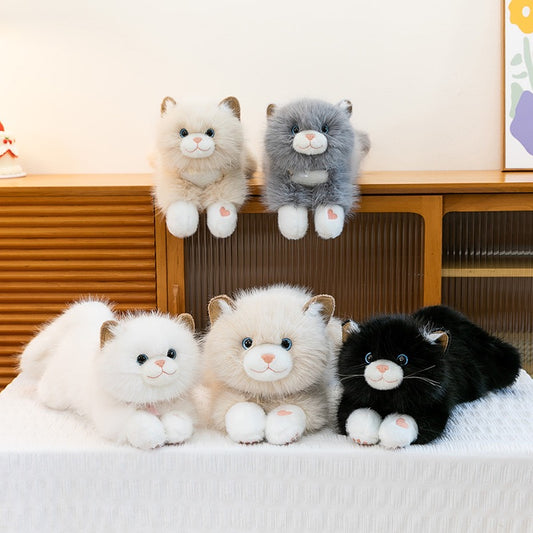 Ragdoll Cat Pillow