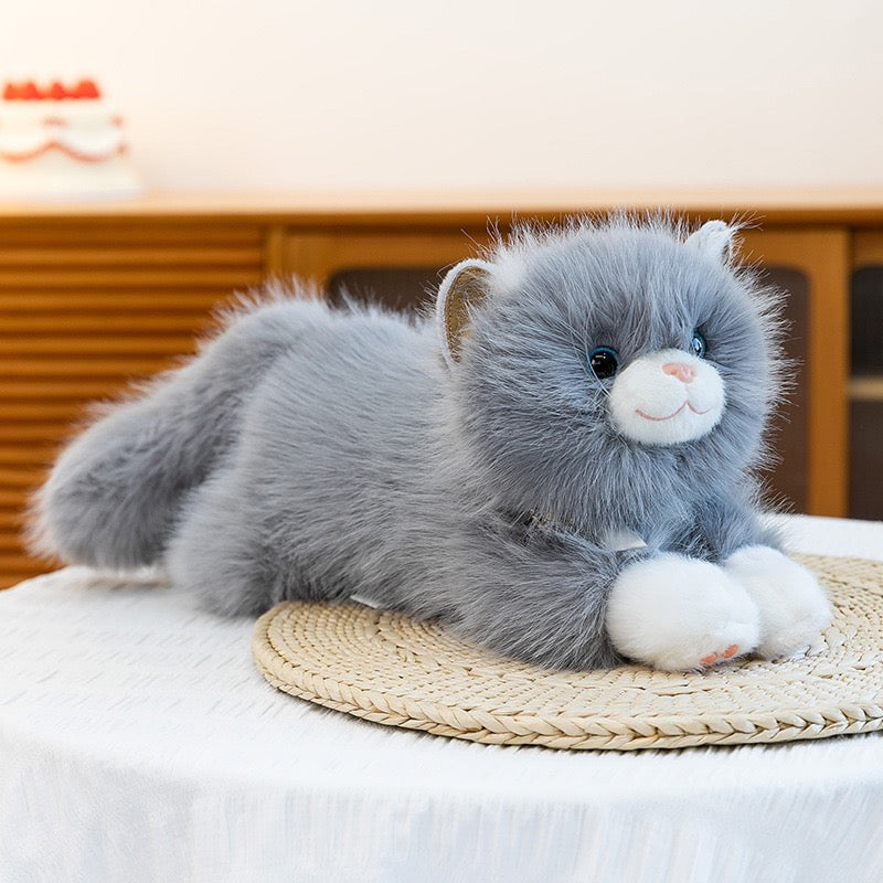 Ragdoll Cat Pillow