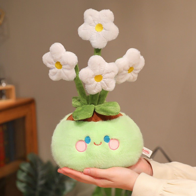 Plush Bloom