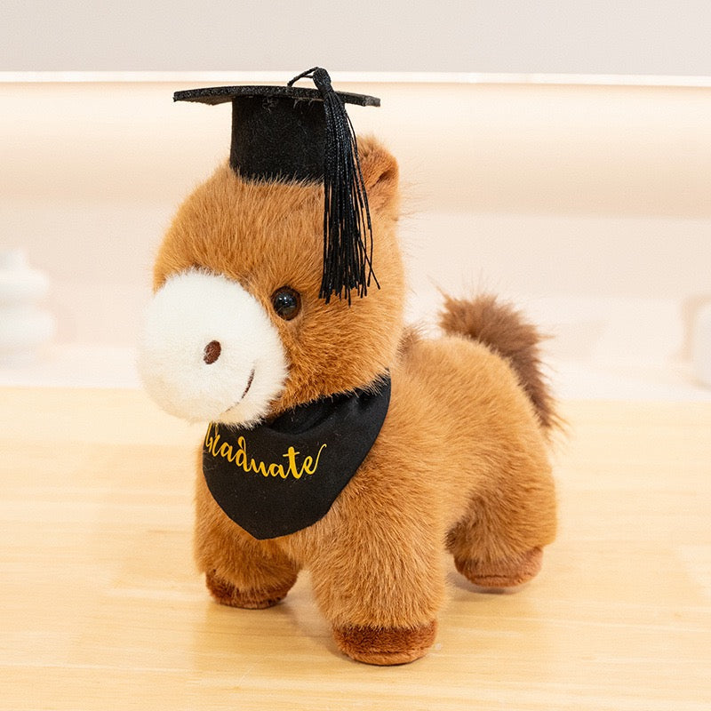 Graduation Pony Plush