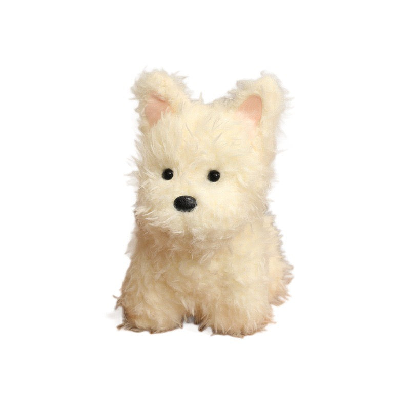 Scruffy Westie Pup
