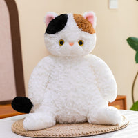 Calico Cat