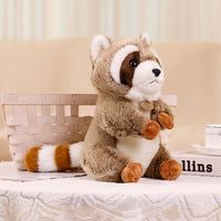 Raccoon