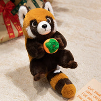 Raccoon