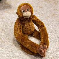 Orangutan