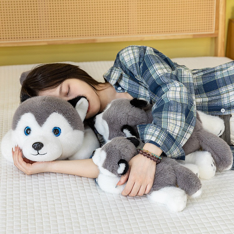 Husky Cuddle Pup