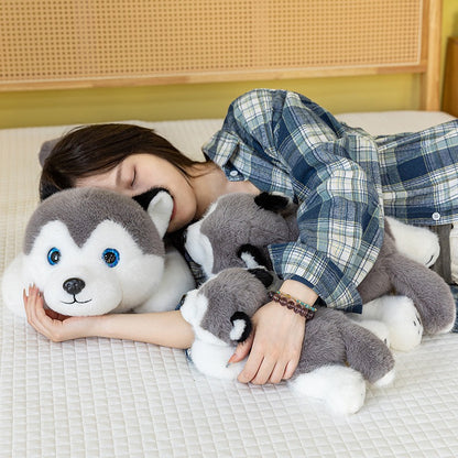 Husky Cuddle Pup