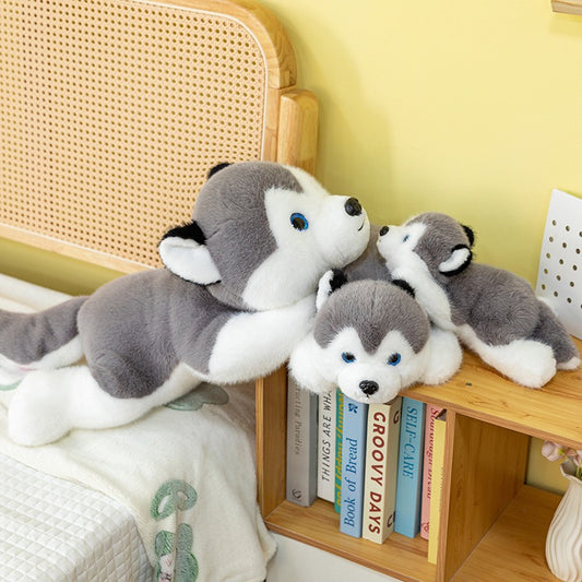 Husky Cuddle Pup