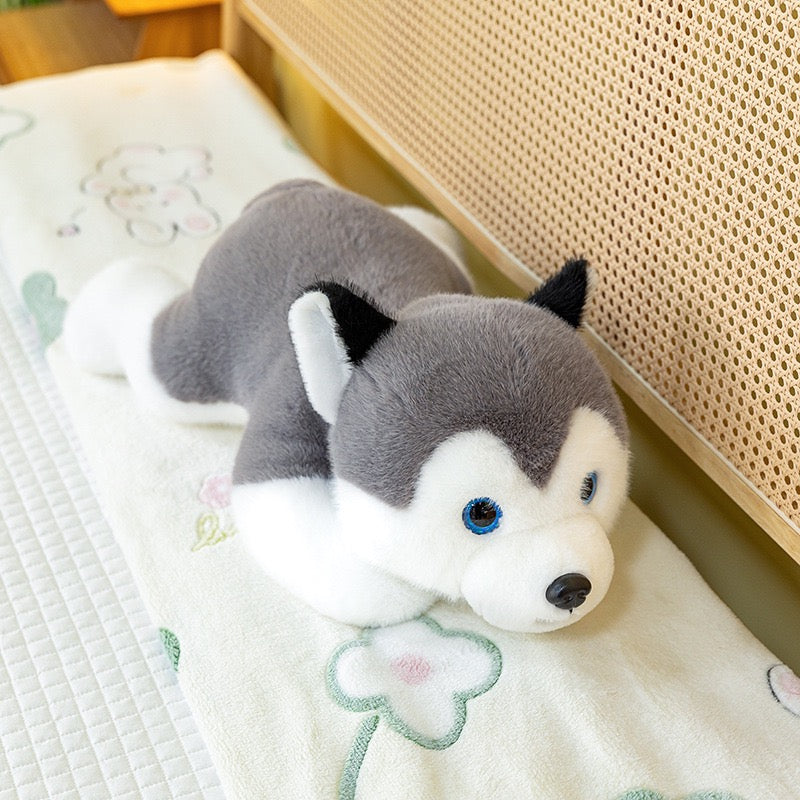 Husky Cuddle Pup