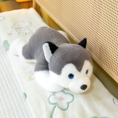 Husky Cuddle Pup