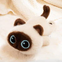Siamese Cat