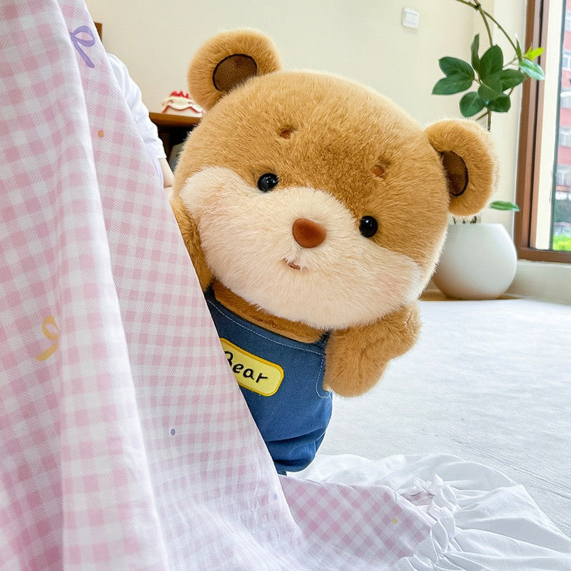 Dressed Teddy Bear Plush