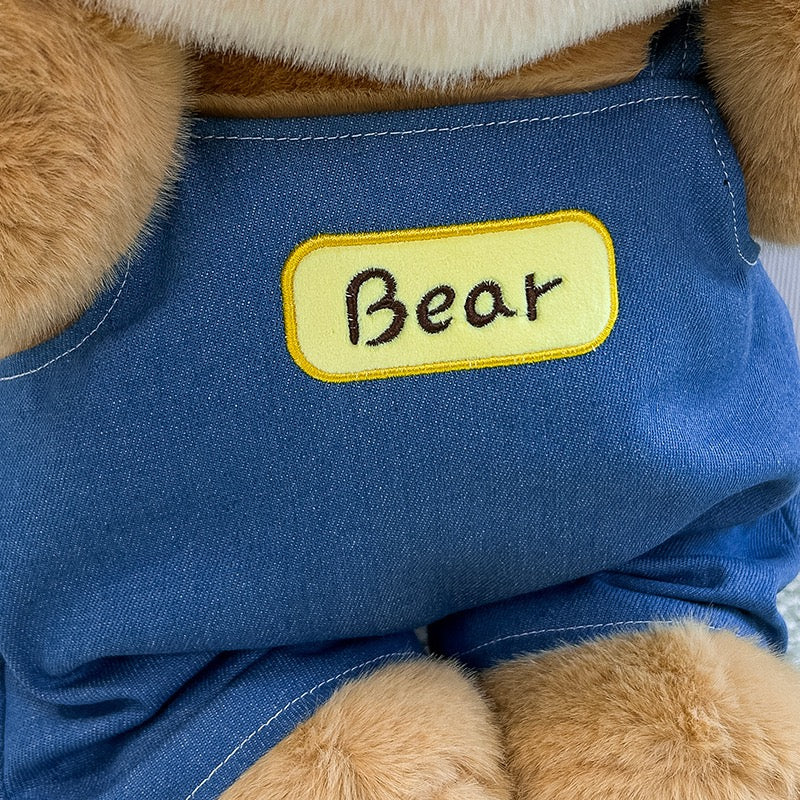 Dressed Teddy Bear Plush