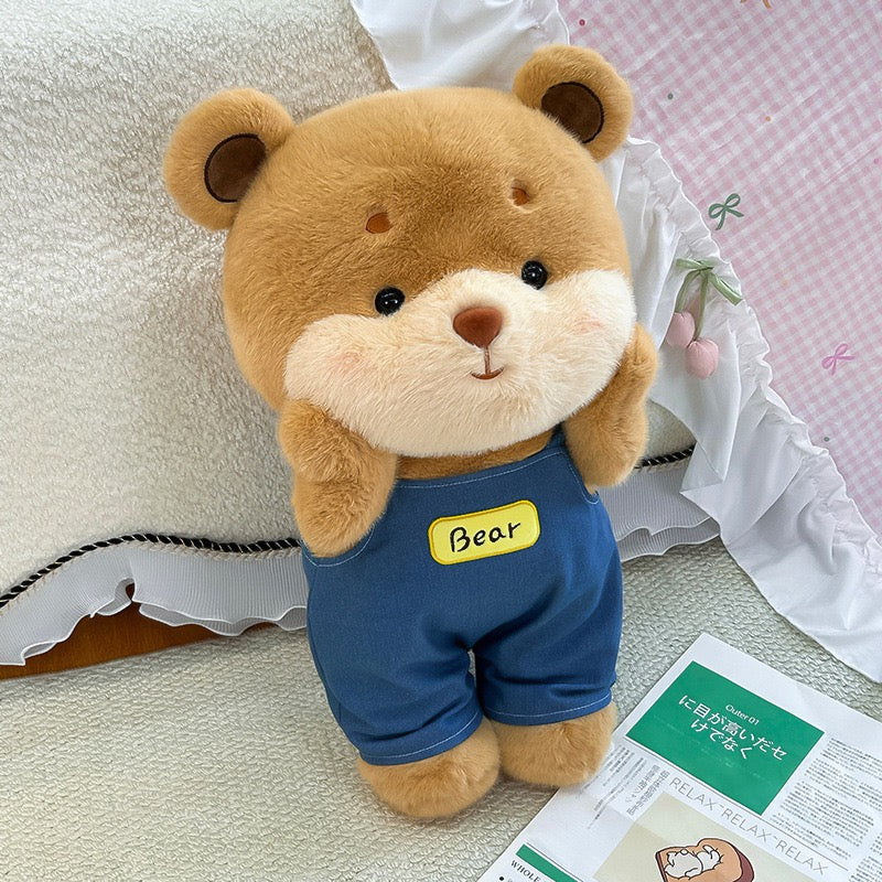 Dressed Teddy Bear Plush