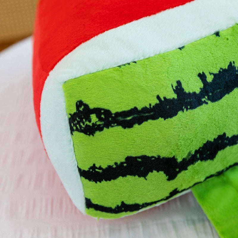 Lazy Watermelon Lounge Cushion