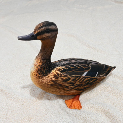 Realistic Wild Duck Cuddle Cushion