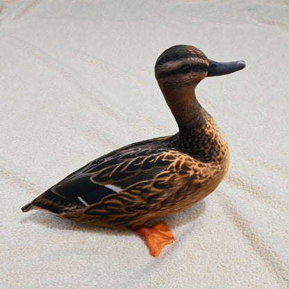 Realistic Wild Duck Cuddle Cushion