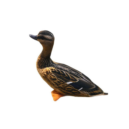 Realistic Wild Duck Cuddle Cushion