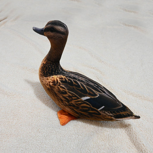 Realistic Wild Duck Cuddle Cushion