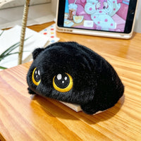Black Cat