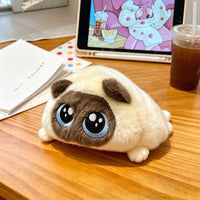 Loli Cat