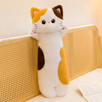 Calico Cat