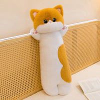 Orange Cat