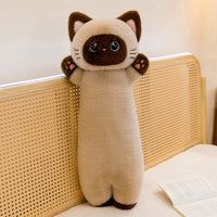 Siamese Cat