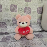 Pink Heart Hugging Bear
