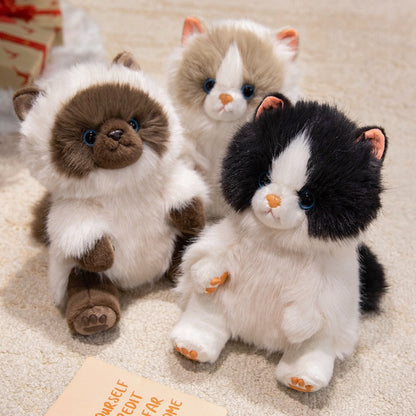 Aroma Siamese Cat Plush