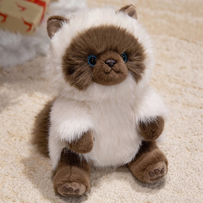 Aroma Siamese Cat Plush