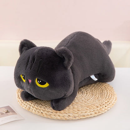 Cuddle Cat Plush